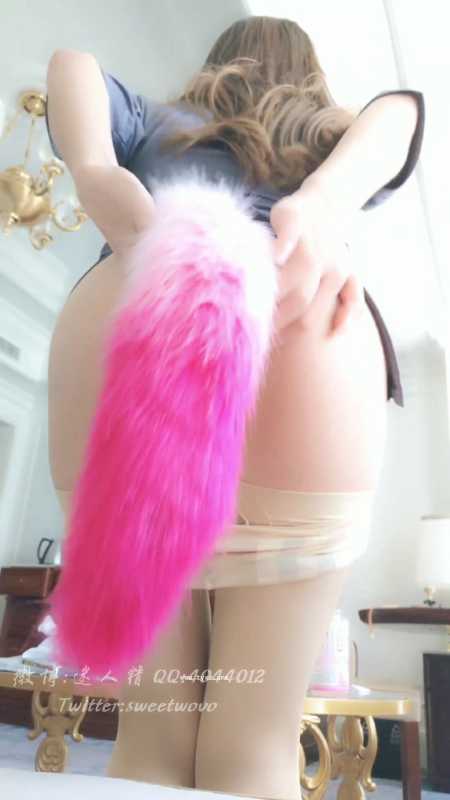 完具 (娜美) 娜美21.01.2定制狐尾 [3V/991M]