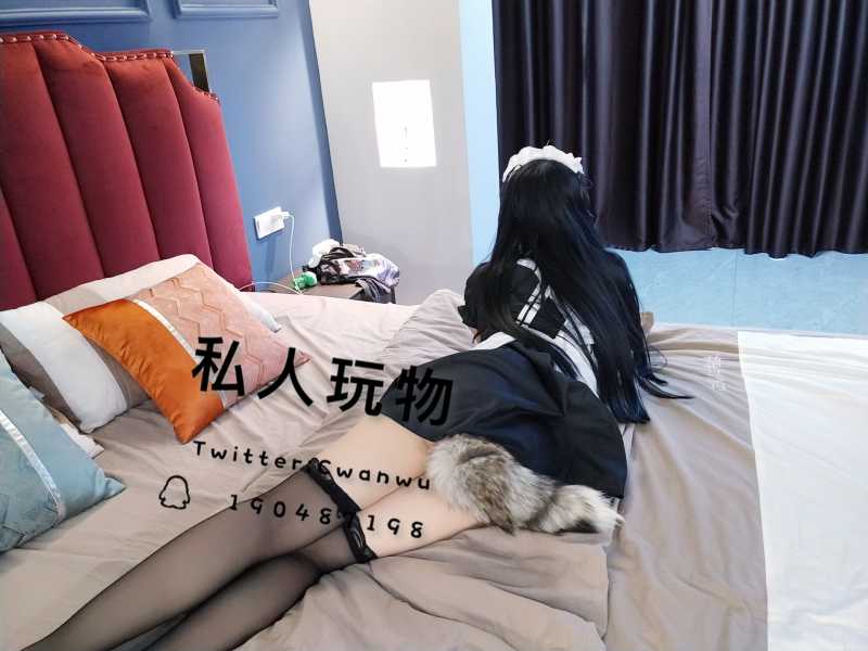 私人玩物 黑丝女仆 [45P+2V/1.16G]