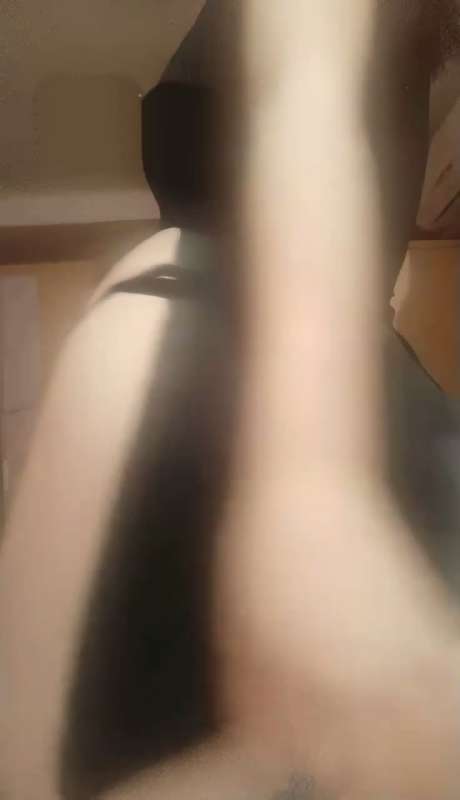 恶犬 旗袍八分钟 [2V/261M]