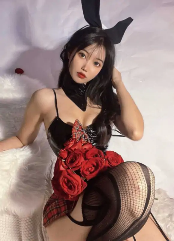 纪念小小V 35套合集下载 [2.96G]