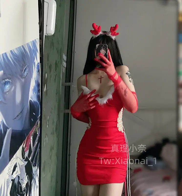 xiaonai_1真理小奈合集 [311P+38V/236M]