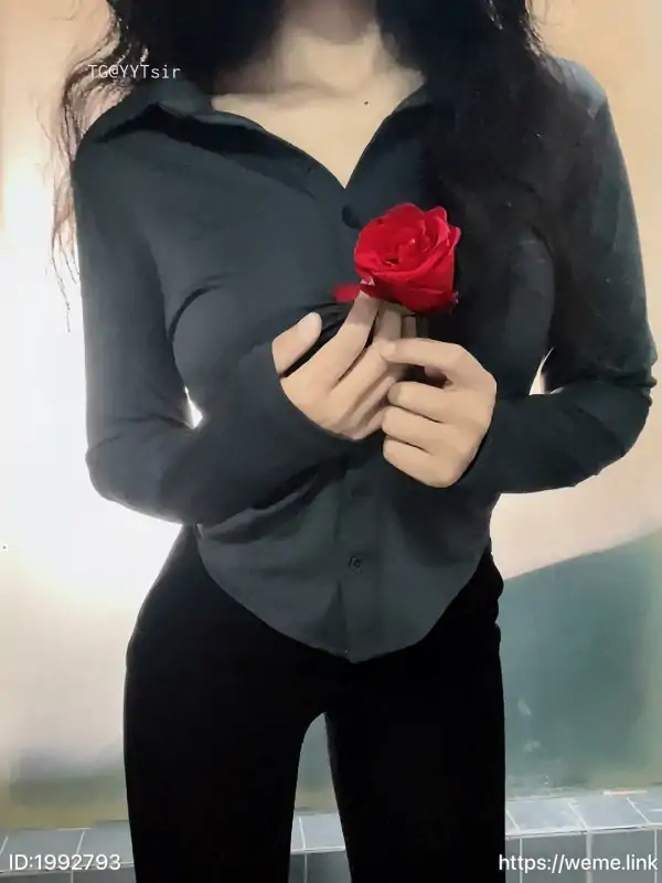 闰节 8套合集下载 [157P+35V/173.16MB]