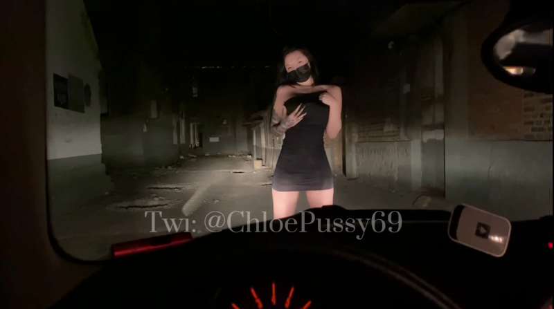 Chloe 作品视图小合集 [40V/8.63G]