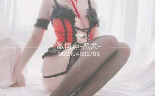 恶犬 束腰套 [41P+4V/1.09G]